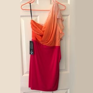 NEW! Bebe Ombré Side Ruched Dress Real Housewives